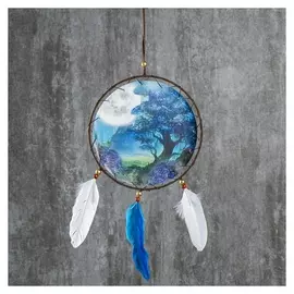 Ловец снов "Лунная ночь" диам 20 см