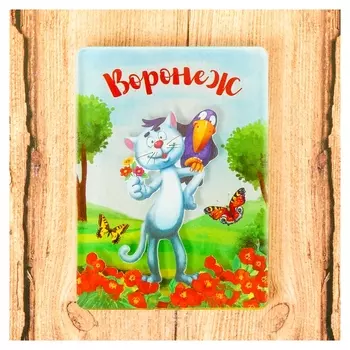 Магнит «Воронеж»