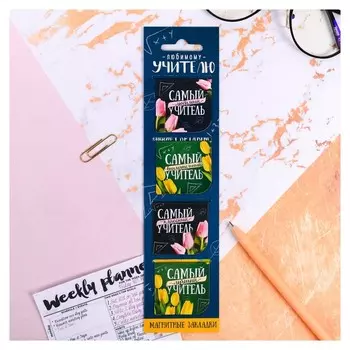 Магнитные закладки "Любимому учителю", 4 шт