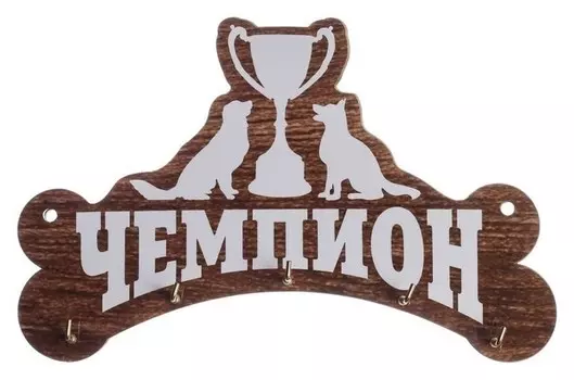 Медальница «Чемпион» с крючками, 20 х 12,9 см