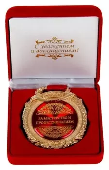 Медаль в бархатной коробке «За мастерство и профессионализм»