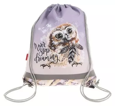 Мешок для обуви Erich Krause, 440 х 365 мм, Dreamy Owl, серый/коричневый