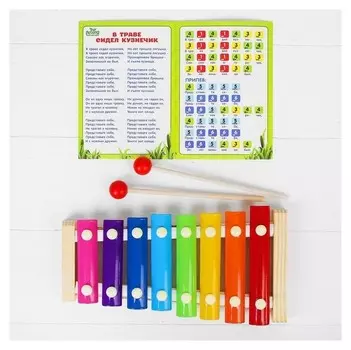 Металлофон, 8 тонов, карточки с песнями