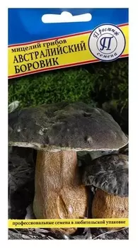 Мицелий грибов австралийский боровик, 50 мл