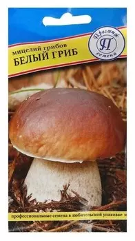 Мицелий грибов белый гриб, 60 мл