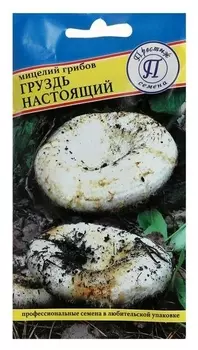 Мицелий грибов груздь настоящий, 50 мл