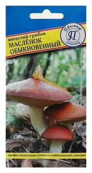 Мицелий грибов маслёнок обыкновенный, 50 мл