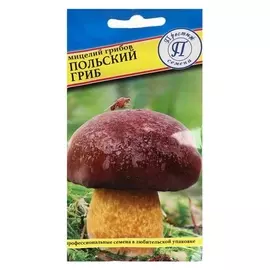 Мицелий грибов польский гриб, 60 мл
