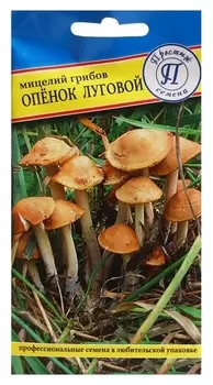 Мицелий опенок "Луговой", 12 палочек