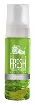 Мицеллярная пенка тонизирующая с муцином, имбирем и женьшенем Secret Fresh