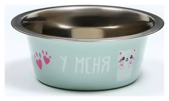 Миска стандартная "Пижон. У меня лапки", 225 мл