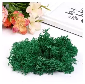 Мох искусственный "Тёмно-зелёный" 10 гр