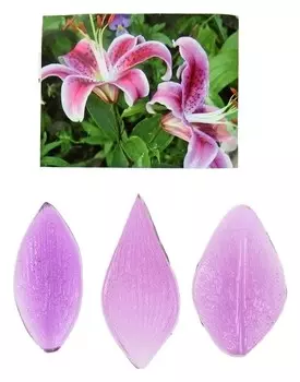 Молд "Лилия малаленькая" (Набор 3 шт.)