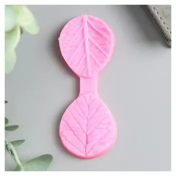 Молд силикон "Листочки" 2 предмета 0,8х9х3,5 см