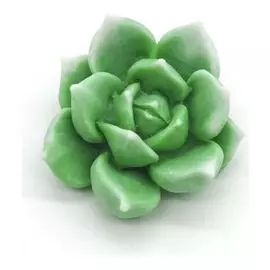 Молд силикон "Суккуленты"