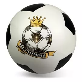 Мяч Чемпион