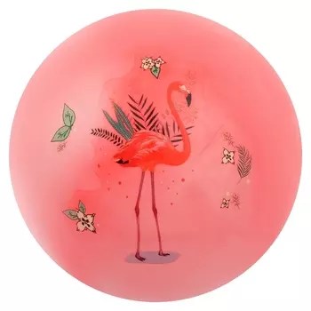 Мяч детский Фламинго