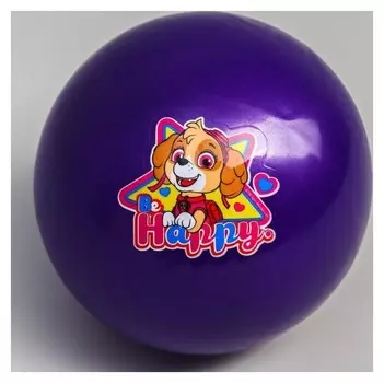 Мяч детский Paw Patrol "Happy", 16 см, 50 гр