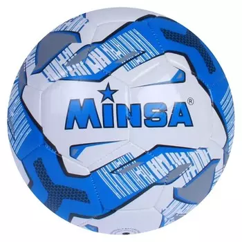 Мяч футбольный, размер 5, цвет синий