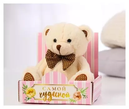 Мягкая игрушка «Самой чудесной» мишка
