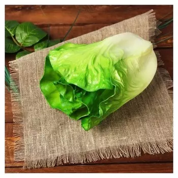 Муляж "Листья салата"