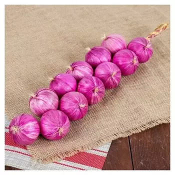 Муляж "Связка лука" 12 луковиц