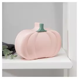 Мыльница «Тыковка», 13,5×10×3,5 см