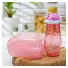 Набор 2 предмета: ланч-бокс, бутыль