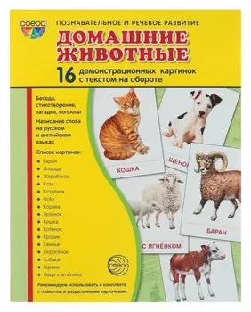 Набор демонстрационных плакатов "Домашние животные" 173х220 мм