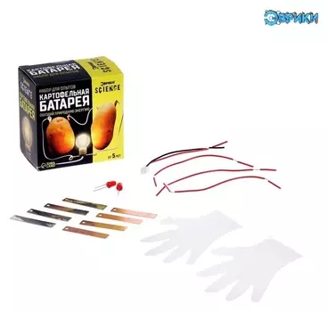 Набор для опытов «Картофельная батарейка»