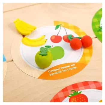 Набор для сортировки «Вкусная тарелка», в пакете