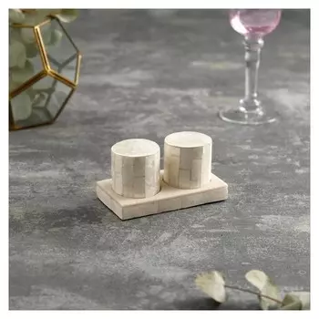 Набор для специй "Элес" 11х6х6 см ракушка