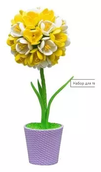 Набор для творчества Топиарий Крокусы
