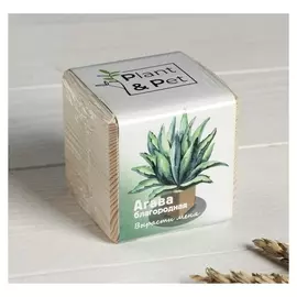 Набор для выращивания P&amp;P "Агава благородная"