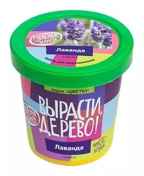 Набор для выращивания "Вырасти, дерево! лаванда"
