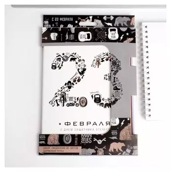 Набор: ежедневник и ручка "23 февраля шрифтовуха"