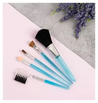 Набор кистей для макияжа, 5 предметов