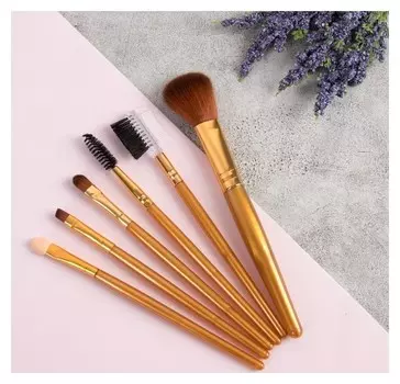 Набор кистей для макияжа, 6 предметов