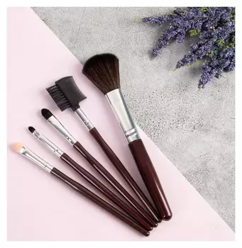 Набор кистей для макияжа для сухих текстур 5 шт