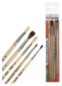 Набор кистей Микс 5 штуки (круглые: Белка №1, Синт №2, Коза №3, Пони №4; плоская: Щетина №6), деревянная ручка