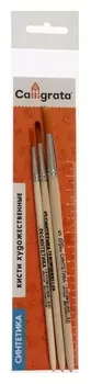 Набор кистей синтетика 3 штуки, Calligrata №3 (Круглые №: 2, 3, 5), деревянная ручка