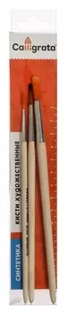 Набор кистей синтетика 3 штуки, Calligrata №3 (Круглые №: 2, 3, 5), деревянная ручка, в пенале