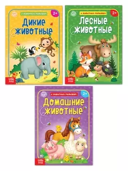 Набор книг обучающий про животных, 3 шт. по 12 стр.