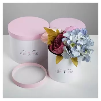 Набор коробок 3 в 1 «Котики», 14 х 14 х 13 - 18 х 18 х 15 см