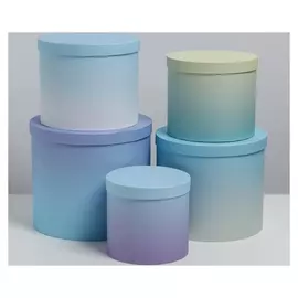 Набор коробок 5 в 1 «Градиент 2», 13 × 13,5‒19.5 × 23 см