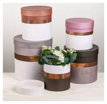 Набор коробок 5в1, "Пантон 04", 23 х 23 х 25 - 15 х 15 х 15 см