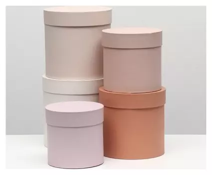 Набор круглых коробок 5 в 1 "Нюд", 20 х 20 х 20 - 14 х 14 х 14 см