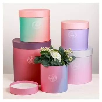 Набор круглых подарочных коробок 5 в 1 «Пантон 08», 23 × 23 × 25 ‒ 15 × 15 × 15 см