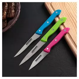 Набор кухонных ножей Кулинарные изыски 3 предмета цветные