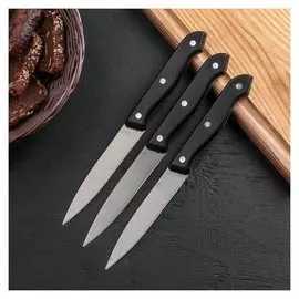 Набор кухонных ножей «Ночь», 3 предмета, цвет чёрный